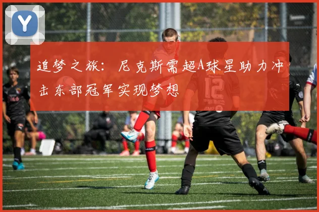 追梦之旅：尼克斯需超A球星助力冲击东部冠军实现梦想