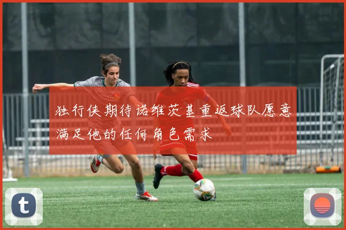 独行侠期待诺维茨基重返球队愿意满足他的任何角色需求