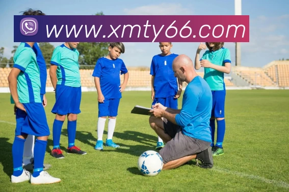 互动解说服务